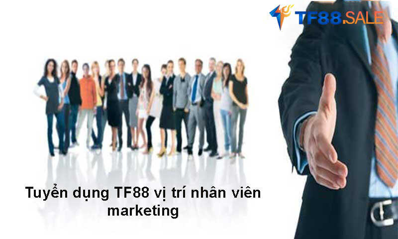 Tuyển dụng TF88 vị trí nhân viên marketing